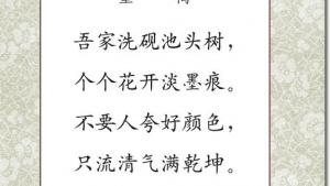 苏教版六年级语文下册电子课本20、古诗两首(第102页)