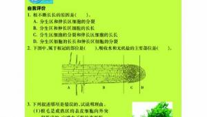 苏教版七年级生物上册(旧版)电子课本-苏教版初一生物上册(旧版)电子课本第二节 植物根的生长(第62页)