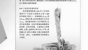 苏教版八年级物理上册电子课本,苏教版初二物理上册电子课本综合实践活动(第104页)