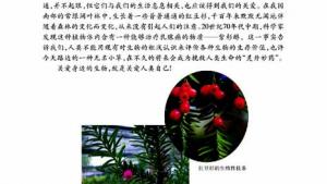 苏教版七年级生物上册(旧版)电子课本-苏教版初一生物上册(旧版)电子课本第一节 我们周围的生物(第7页)