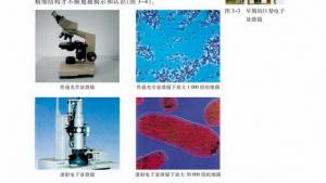 苏教版高一生物必修1（分子与细胞）电子课本生物科学研究的重要工具――显微镜(第31页)