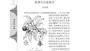 苏教版高三语文必修五电子课本南州六月荔枝丹(第14页)