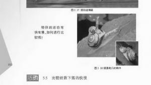 苏教版八年级物理上册电子课本,苏教版初二物理上册电子课本二、速度(第112页)