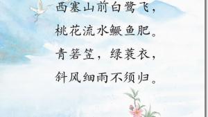 苏教版六年级语文下册电子课本9、词两首(第48页)