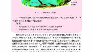 苏教版八年级生物上册(旧版)电子课本-苏教版初二生物上册(旧版)电子课本第四节 两栖类的生殖与发育(第20页)