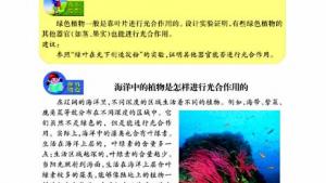 苏教版七年级生物上册(旧版)电子课本-苏教版初一生物上册(旧版)电子课本第三节 植物光合作用的实质(第90页)