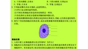 苏教版七年级生物上册(旧版)电子课本-苏教版初一生物上册(旧版)电子课本第二节 人和动物细胞的结构和功能(第38页)