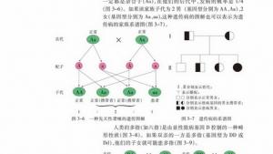 苏教版高一生物必修2（遗传与进化）电子课本基因的分离定律的应用(第32页)