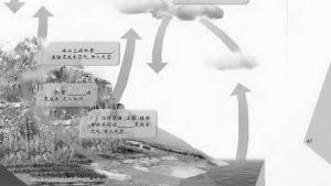 苏教版八年级物理上册电子课本,苏教版初二物理上册电子课本五、水循环(第47页)
