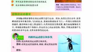 苏教版八年级生物上册(旧版)电子课本-苏教版初二生物上册(旧版)电子课本第二节 动物运动的能量来源(第54页)