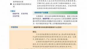 苏教版高一生物必修1（分子与细胞）电子课本细胞呼吸产生能量(第70页)