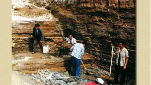 苏教版高一生物必修2（遗传与进化）电子课本第五章 生物的进化(第93页)