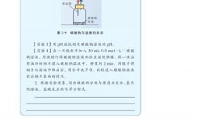 苏教版高一化学1电子课本第二单元 钠、镁及其化合物(第51页)