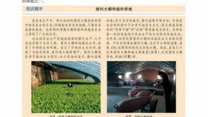 苏教版高一生物必修1（分子与细胞）电子课本影响光合作用的环境因素(第67页)