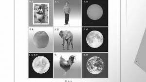 苏教版八年级物理下册电子课本,苏教版初二物理下册电子课本一、物体的质量(第5页)