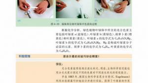 苏教版高一生物必修1（分子与细胞）电子课本光合色素与光能量的捕获(第64页)