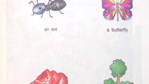 苏教版二年级英语2A电子课本Unit 6 a picnic(第18页)