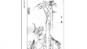 苏教版八年级语文下册电子课本,苏教版初二语文下册电子课本诵读欣赏 诗词曲三首(第68页)