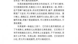 苏教版七年级语文下册电子课本-苏教版初一语文下册电子课本十五 松鼠(第128页)