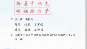 苏教版三年级语文下册电子课本12 荷花(第65页)