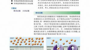 苏教版高一生物必修1（分子与细胞）电子课本被动运输(第46页)