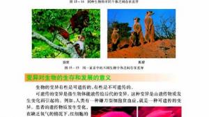 苏教版八年级生物上册(旧版)电子课本-苏教版初二生物上册(旧版)电子课本第五节 生物的变异(第45页)
