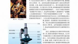 苏教版高一生物必修1（分子与细胞）电子课本生物科学研究的重要工具――显微镜(第30页)
