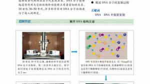 苏教版高一生物必修2（遗传与进化）电子课本第二节 DNA的结构和DNA的复制(第59页)