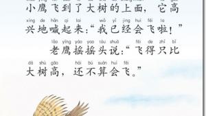 苏教版二年级语文上册电子课本8 小鹰学飞(第55页)