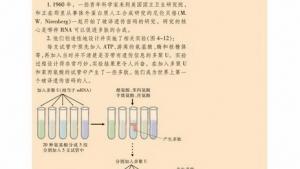 苏教版高一生物必修2（遗传与进化）电子课本第三节 基因控制蛋白质的合成(第69页)