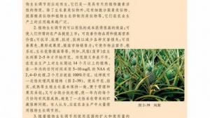 苏教版高二生物必修3（稳定与环境）电子课本其他植物激素(第47页)