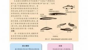 苏教版高一生物必修2（遗传与进化）电子课本像科学家一样思考：科学思维(第9页)