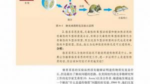 苏教版高一生物必修2（遗传与进化）电子课本第一节 探索遗传物质的过程(第54页)