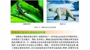 苏教版八年级生物上册(旧版)电子课本-苏教版初二生物上册(旧版)电子课本第一节 定位运动方式的多样性(第51页)