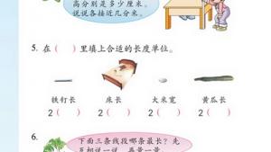 苏教版二年级数学下册(旧版)电子课本三 分米和毫米(第28页)