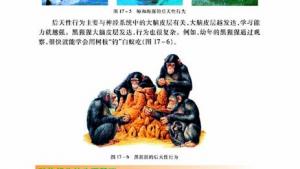 苏教版八年级生物上册(旧版)电子课本-苏教版初二生物上册(旧版)电子课本第二节 动物行为的生理基础(第66页)