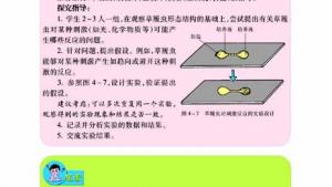 苏教版七年级生物上册(旧版)电子课本-苏教版初一生物上册(旧版)电子课本第三节 单细胞生物(第50页)