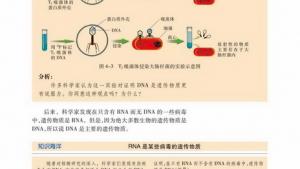 苏教版高一生物必修2（遗传与进化）电子课本第一节 探索遗传物质的过程(第55页)