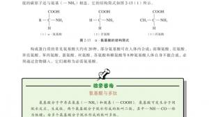 苏教版高二化学与生活电子课本第二单元 提供能量与营养的食物(第55页)