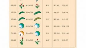 苏教版高一生物必修2（遗传与进化）电子课本第一节 基因的分离定律(第28页)