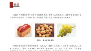苏教版高二化学与生活电子课本第二单元 提供能量与营养的食物(第49页)