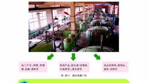 苏教版八年级生物下册(旧版)电子课本-苏教版初二生物下册(旧版)电子课本第一节 源远流长的发酵技术(第4页)