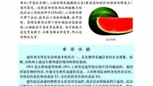 苏教版八年级生物上册(旧版)电子课本-苏教版初二生物上册(旧版)电子课本第五节 生物的变异(第47页)