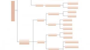 苏教版高三化学-化学反应原理电子课本第三单元 金属的腐蚀与防护(第28页)