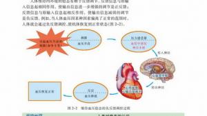 苏教版高二生物必修3（稳定与环境）电子课本第一节 人体的稳态(第13页)
