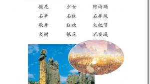 苏教版二年级语文下册电子课本20 欢乐的泼水节(第117页)