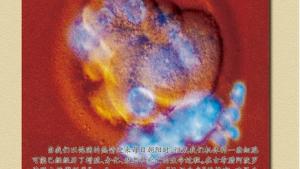 苏教版高一生物必修1（分子与细胞）电子课本第五章 细胞增殖、分化、衰老和凋亡(第79页)