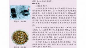 苏教版高一生物必修2（遗传与进化）电子课本第三节 染色体变异及其应用(第44页)