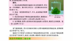 苏教版七年级生物上册(旧版)电子课本-苏教版初一生物上册(旧版)电子课本第三节 植物光合作用的实质(第88页)