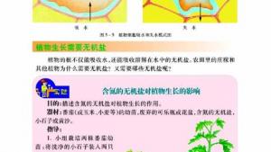 苏教版七年级生物上册(旧版)电子课本-苏教版初一生物上册(旧版)电子课本第三节 植物生长需要水和无机盐(第65页)